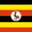 UG