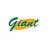 Giant In Store Gift Card