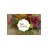 NetFlorist Gift Card